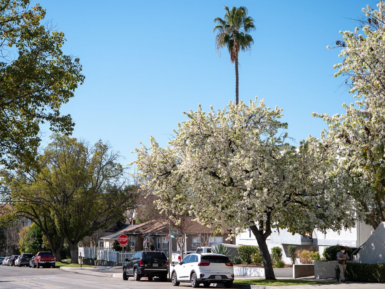 Make Every Day More and More of Christ & Tonight: Drop-In Game Night!