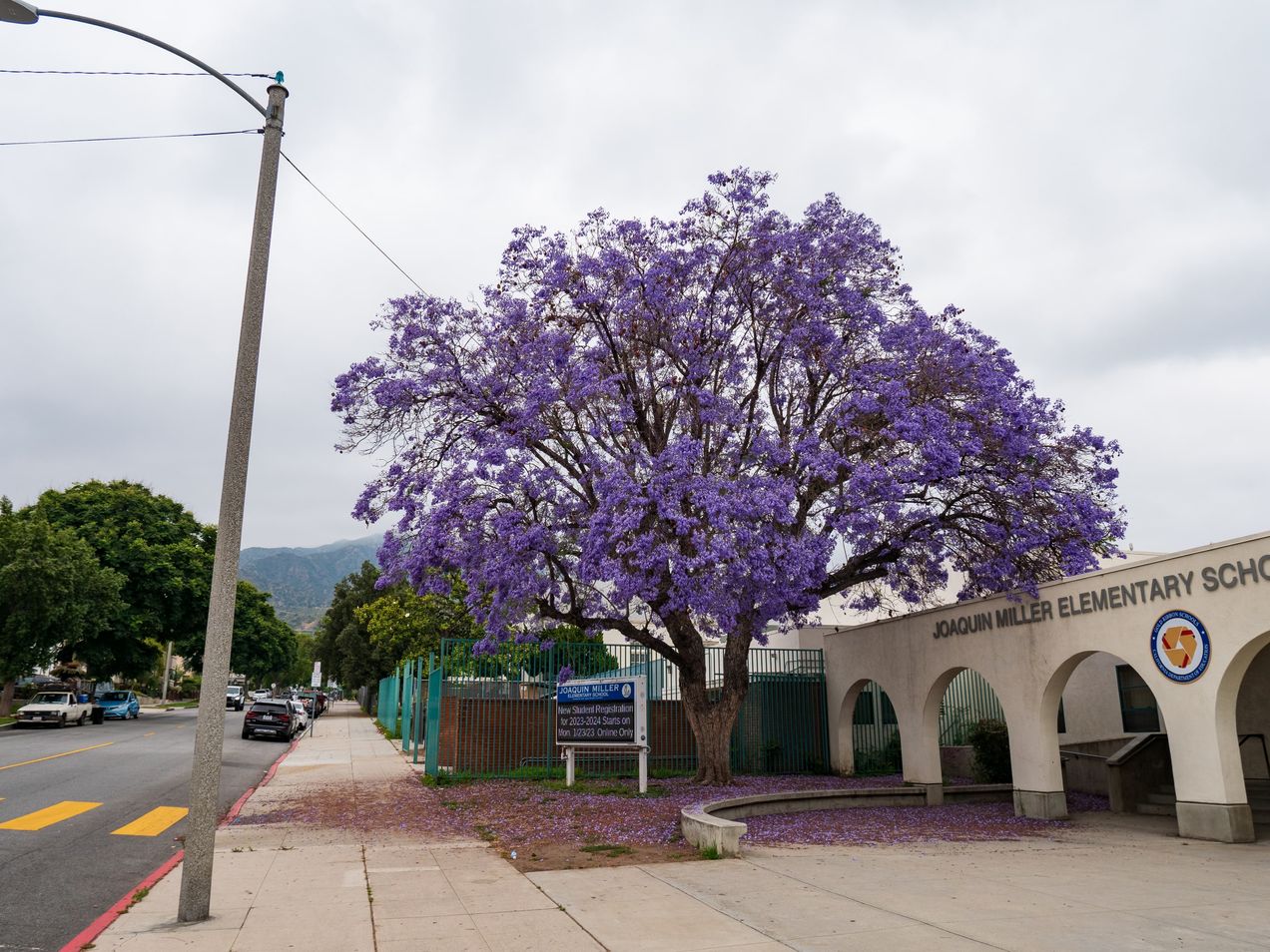 Covenant Church — Morning Worship June 25, 2023