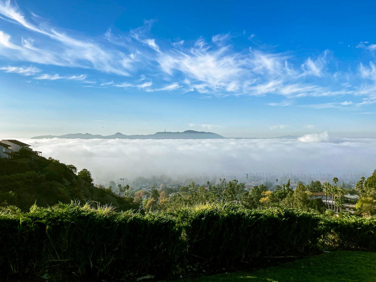 Worship & Event Schedule Update