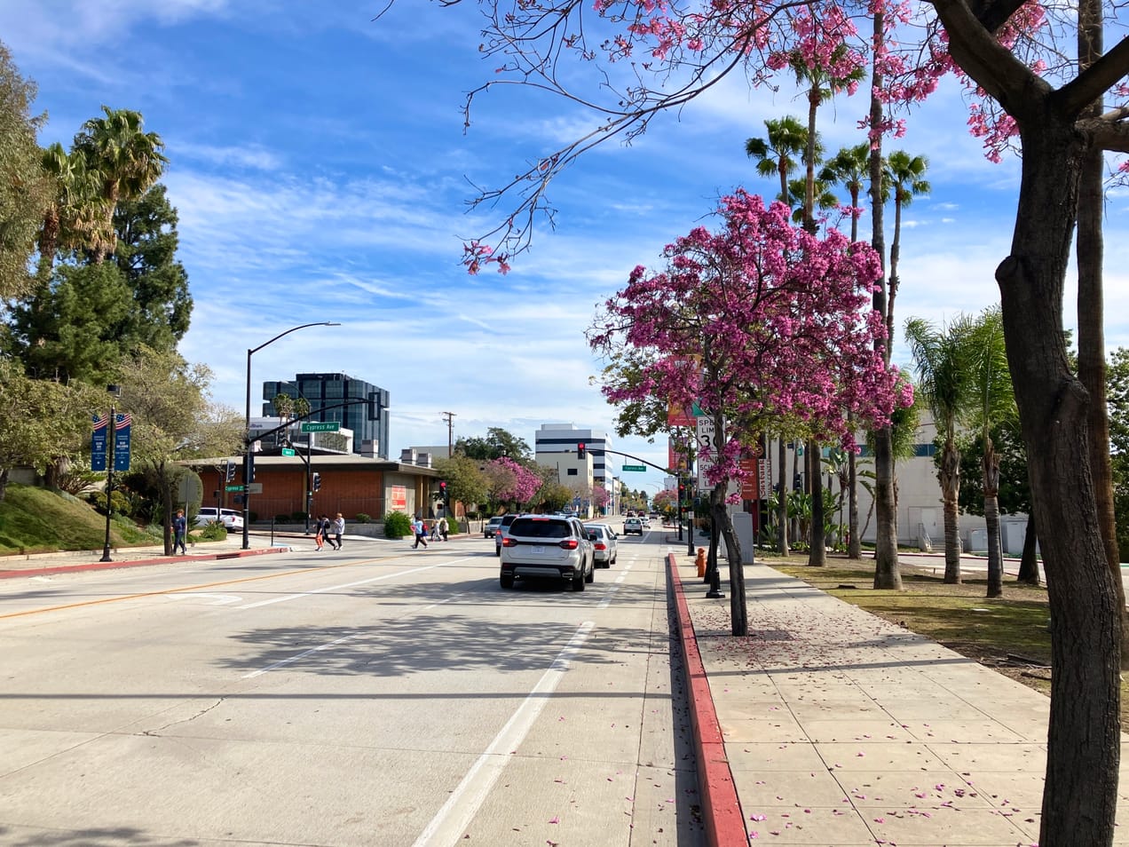 Tonight! Game Night. Tomorrow! Morning & Evening Worship and Last Sunday Lunch.