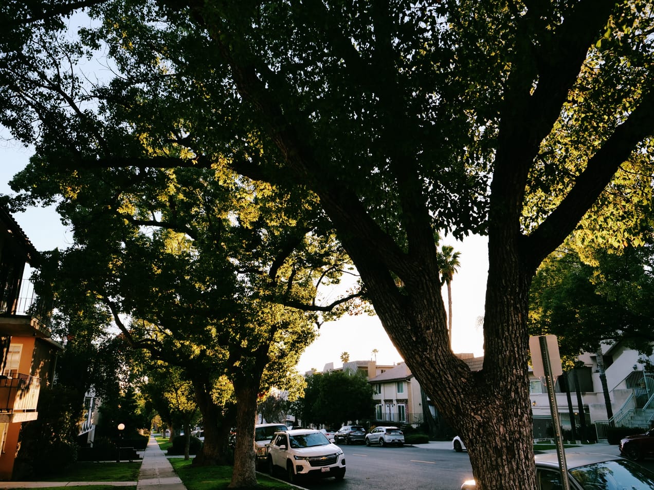 Exciting Upcoming Events!