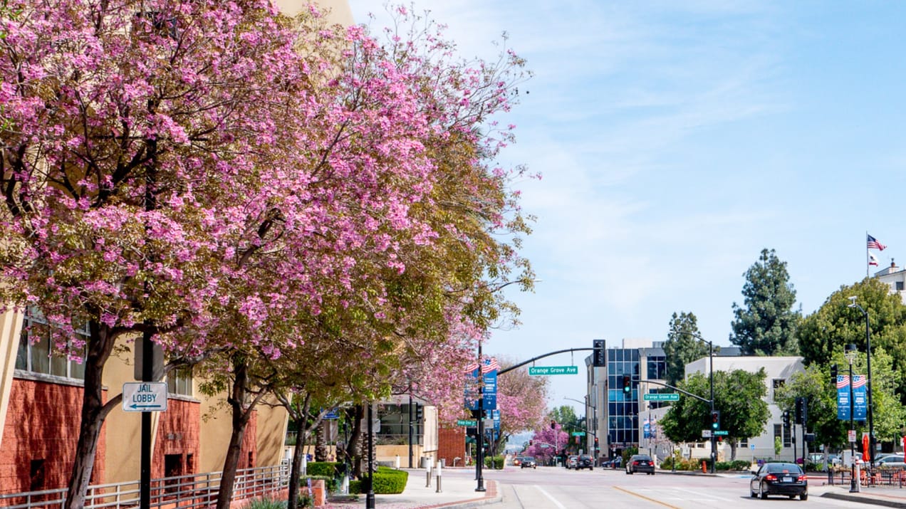 Covenant Church — Morning & Evening Worship: May 26, 2024