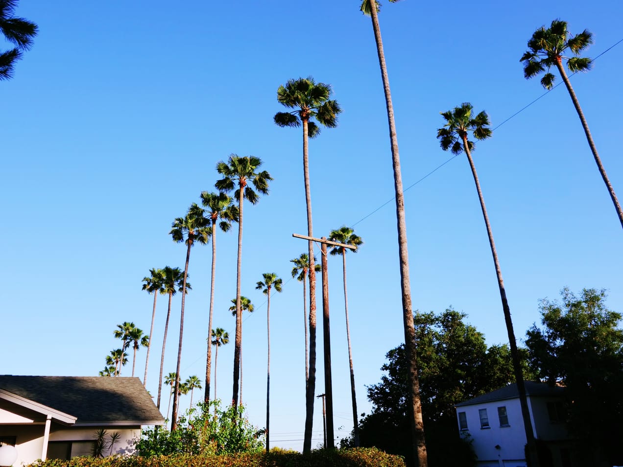 Upcoming Events! And an Opportunity for Ministry.