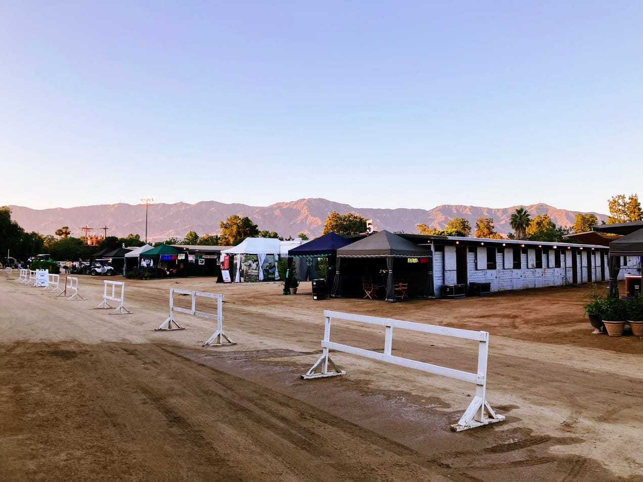 Covenant Church — Morning & Evening Worship: June 23, 2024