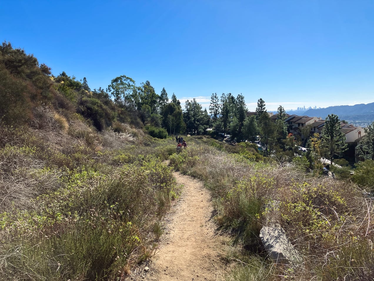 Covenant Church — Morning & Evening Worship: September 1, 2024