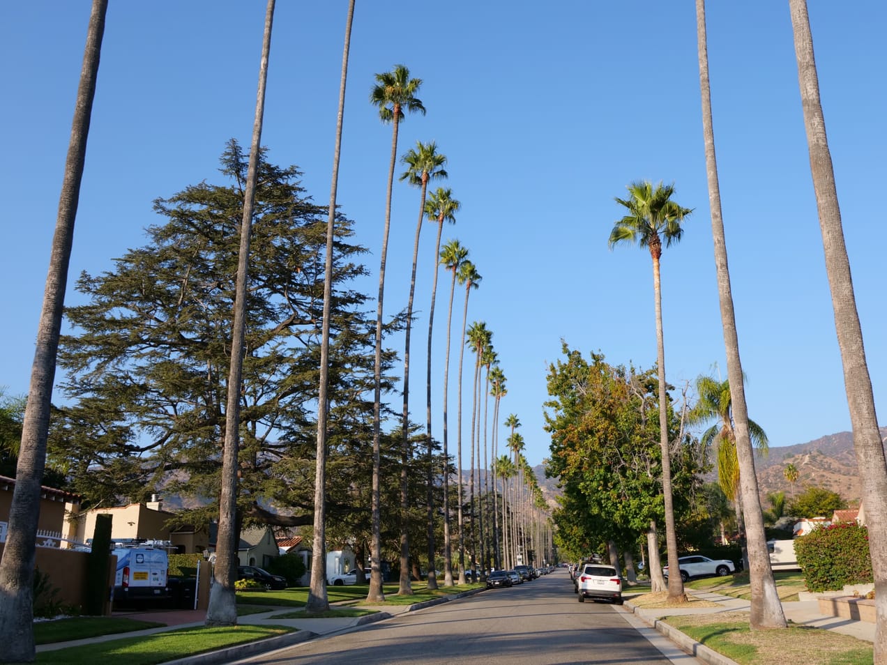 Covenant Church — Morning & Evening Worship: September 22, 2024