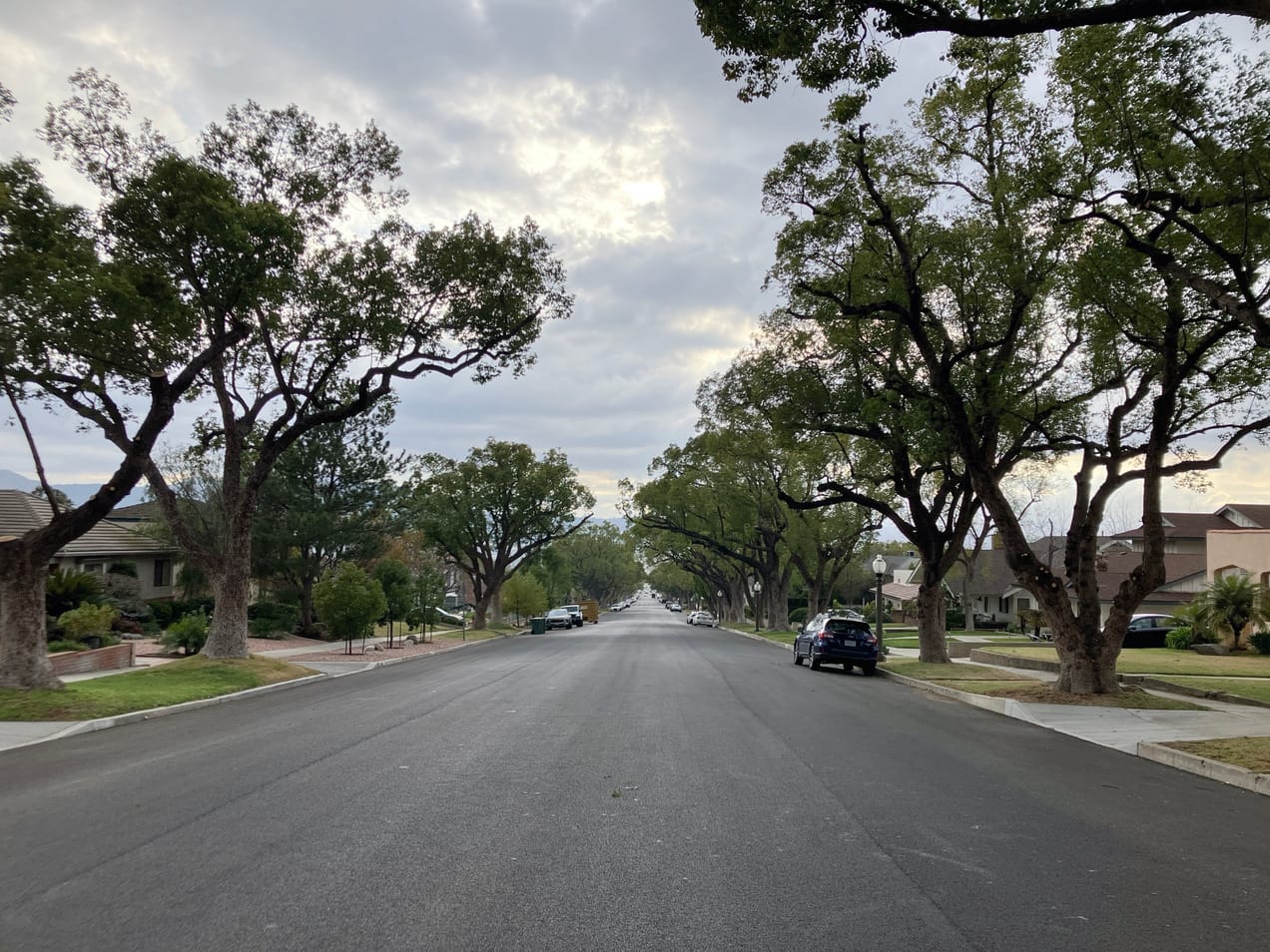 Covenant Church — Morning & Evening Worship: January 26, 2025