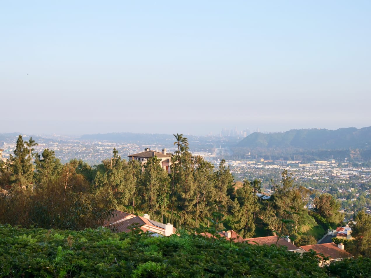 The First Sunday of 2025!