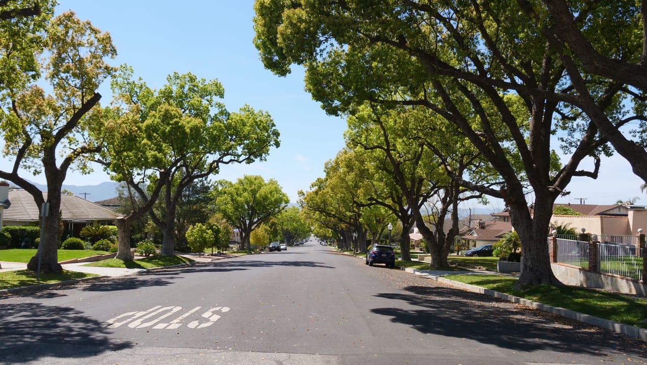 Covenant Church — Morning & Evening Worship: March 23, 2025