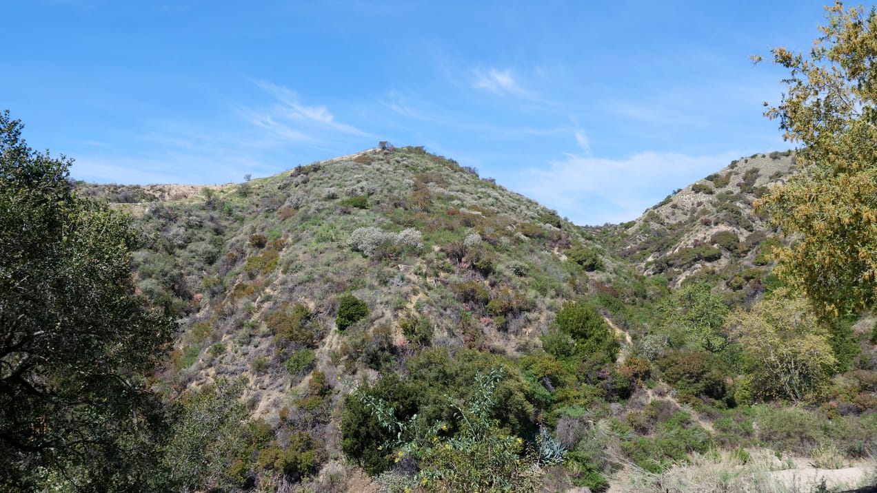 Can't Wait to See You Tomorrow