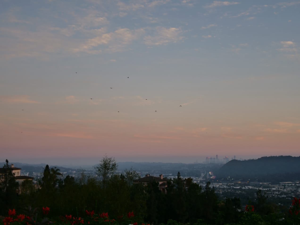 Soul & Body: Nourished Tomorrow