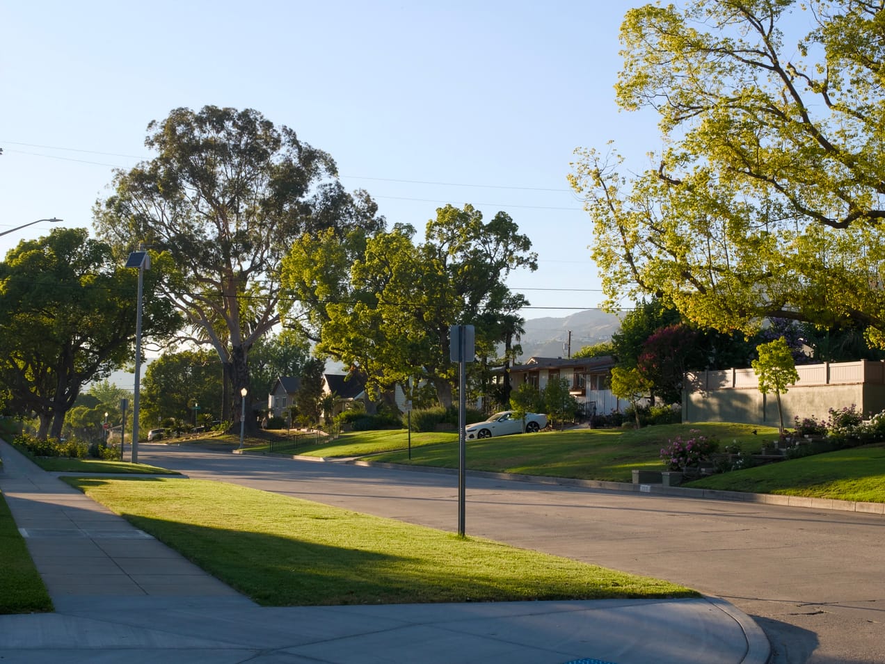 The Best Day of the Week