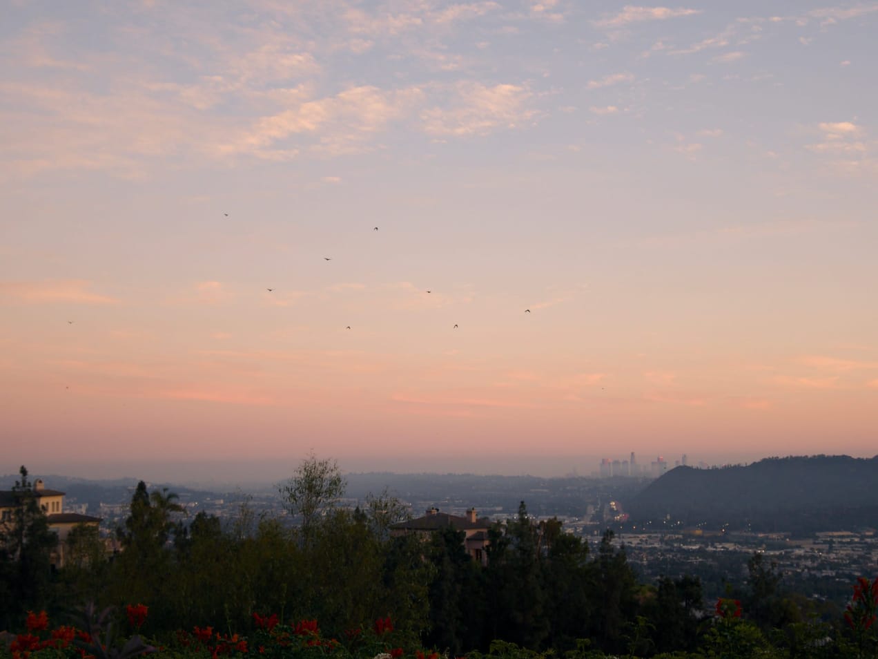 Covenant Church — Morning & Evening Worship: November 23, 2025