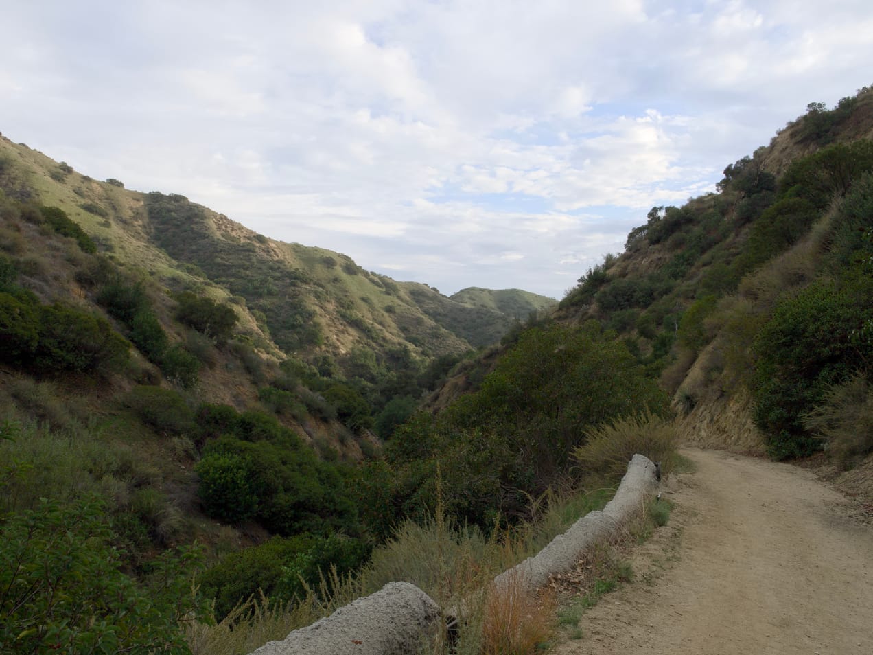 The Hopeful Work of Gospel Ministry