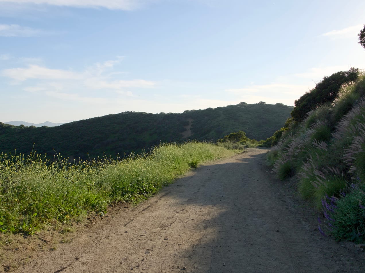 March "Last Sunday" Lunch: This Sunday!