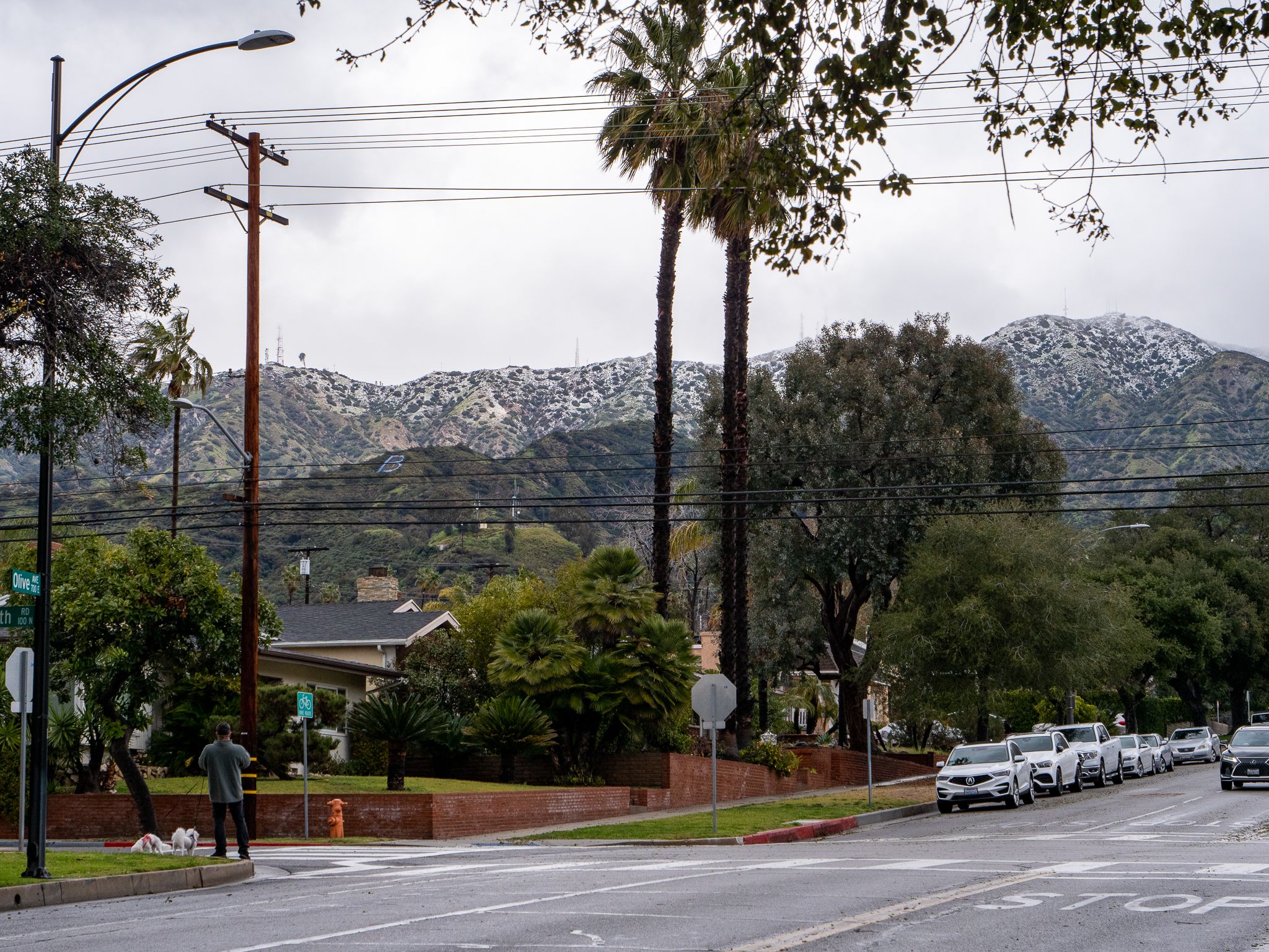 Prayer for the Preview Service