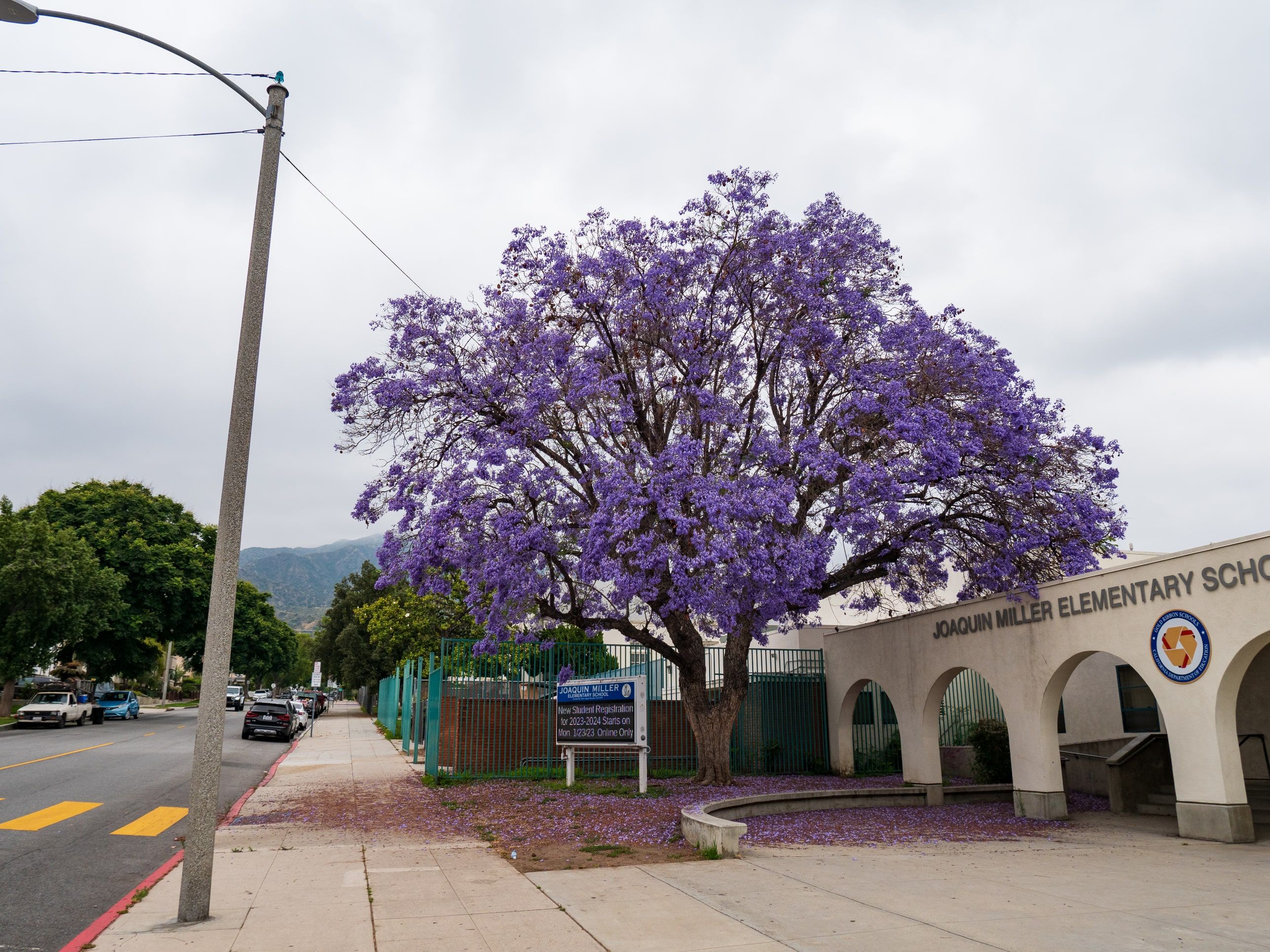 Covenant Church — Morning Worship June 25, 2023
