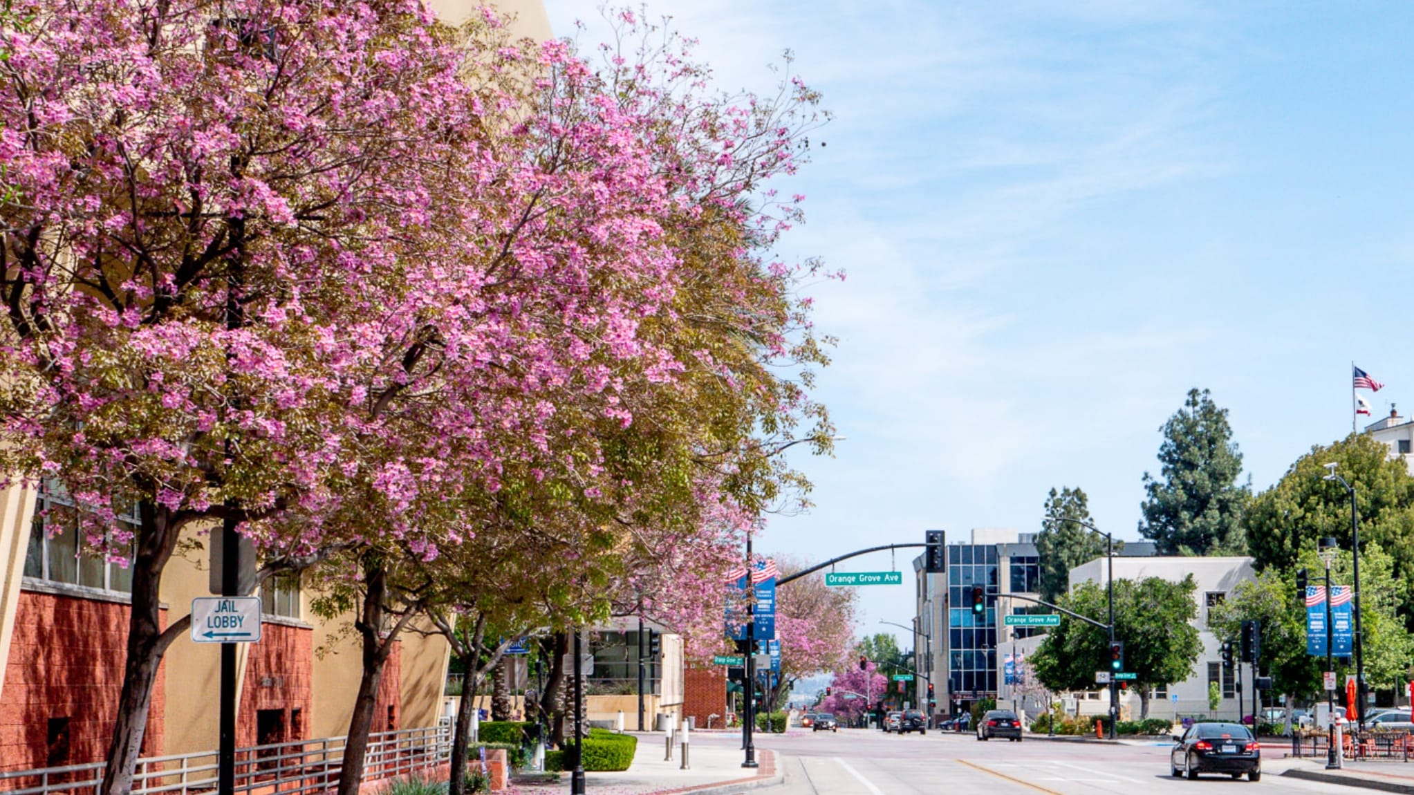 Covenant Church — Morning & Evening Worship: May 26, 2024