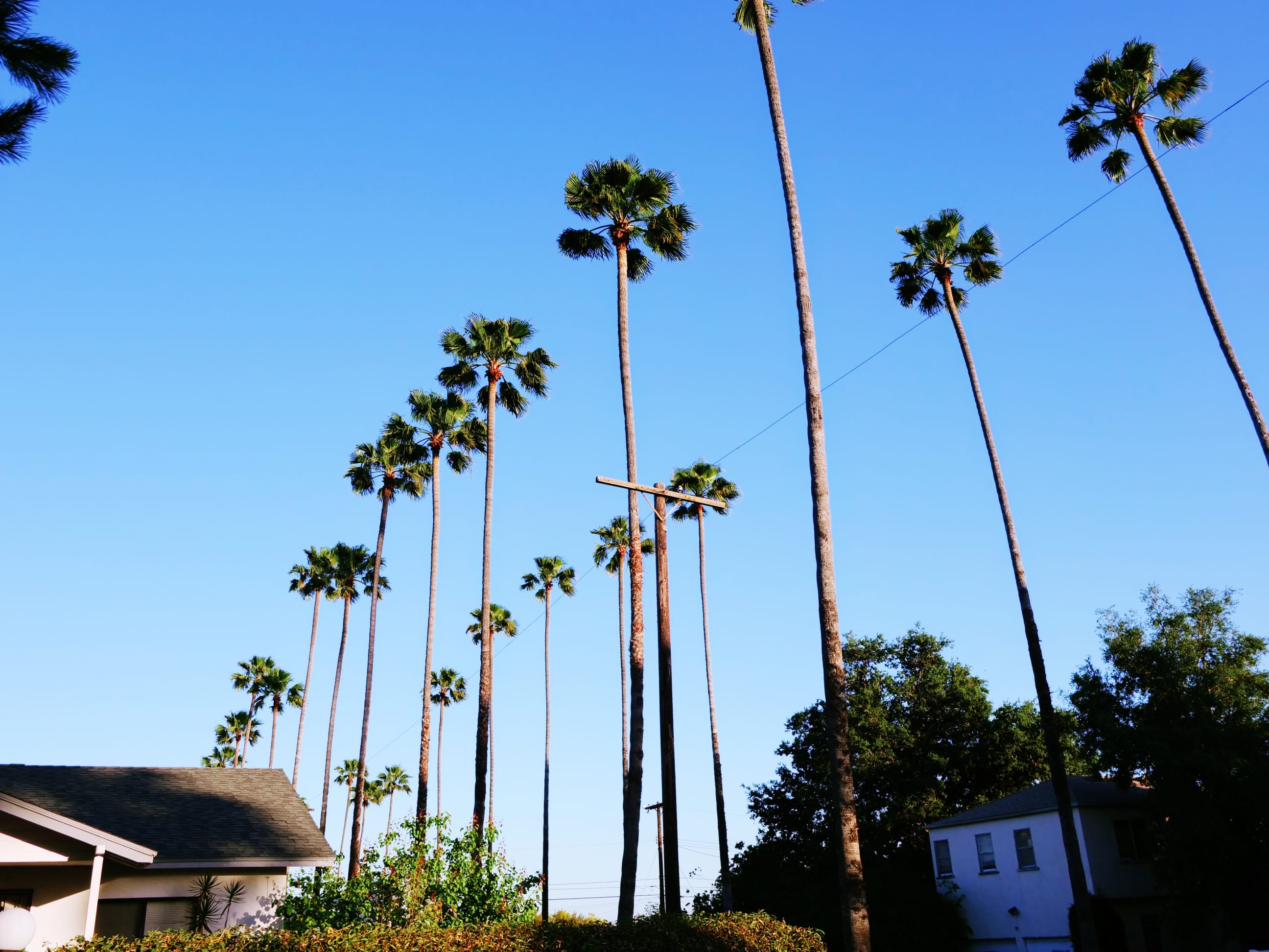 Upcoming Events! And an Opportunity for Ministry.