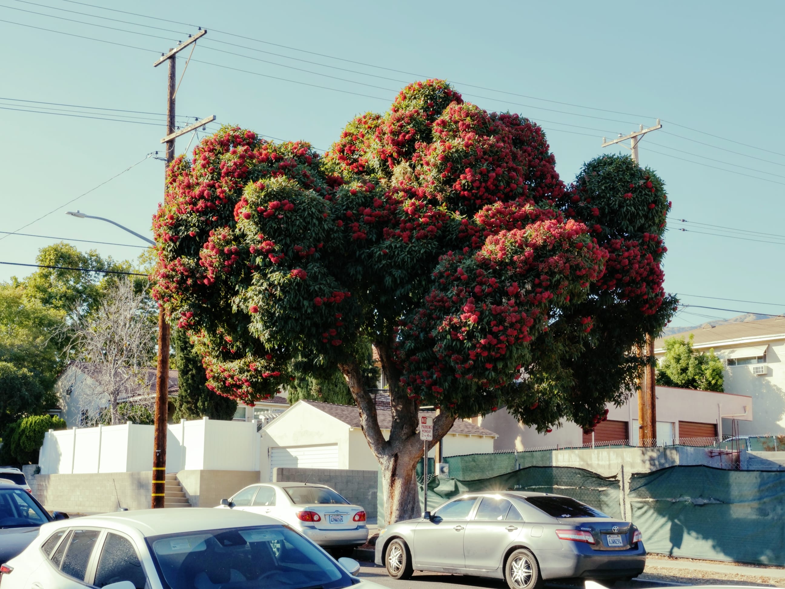 Covenant Church — Morning & Evening Worship: August 25, 2024