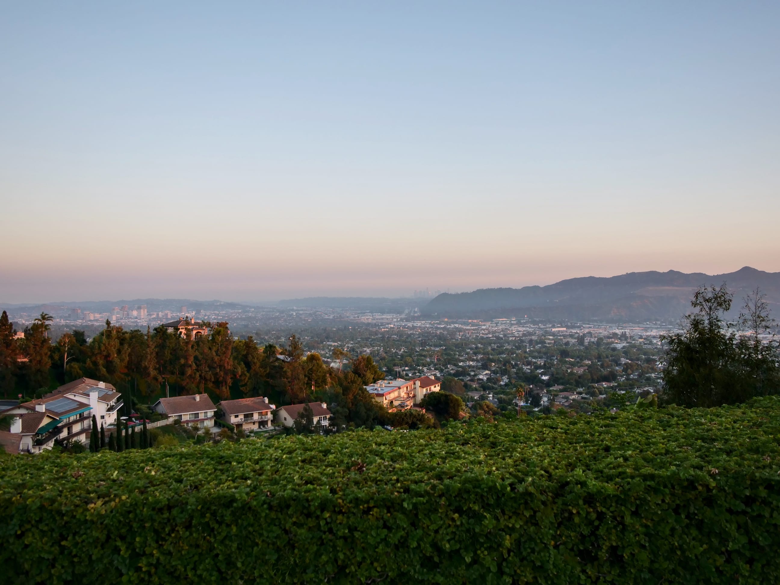 So Many Good Things!