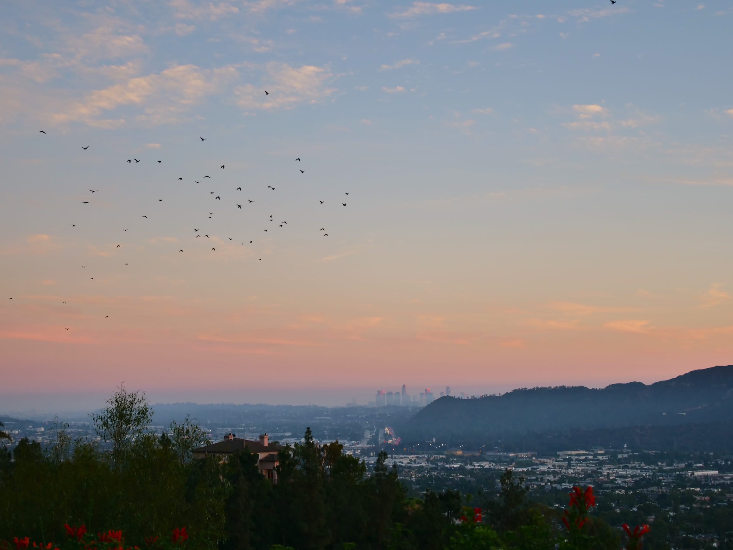 Covenant Church — Morning & Evening Worship: October 13, 2024