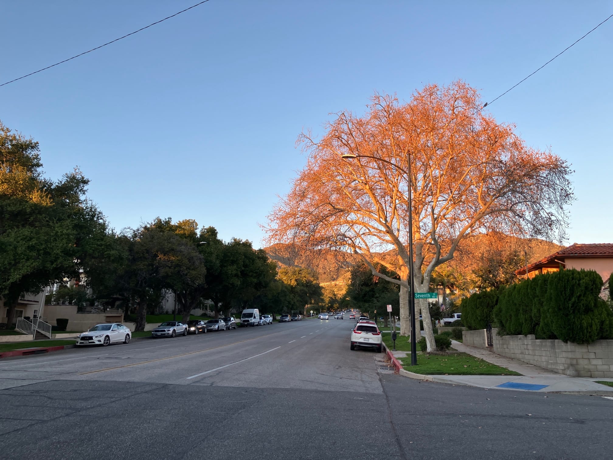 Covenant Church — Morning Worship: December 29, 2024