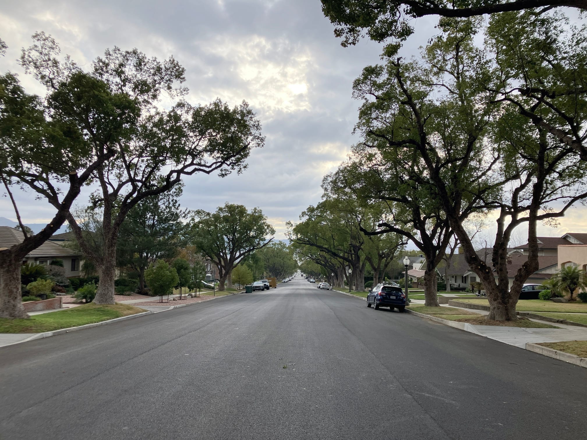 Covenant Church — Morning & Evening Worship: January 26, 2025