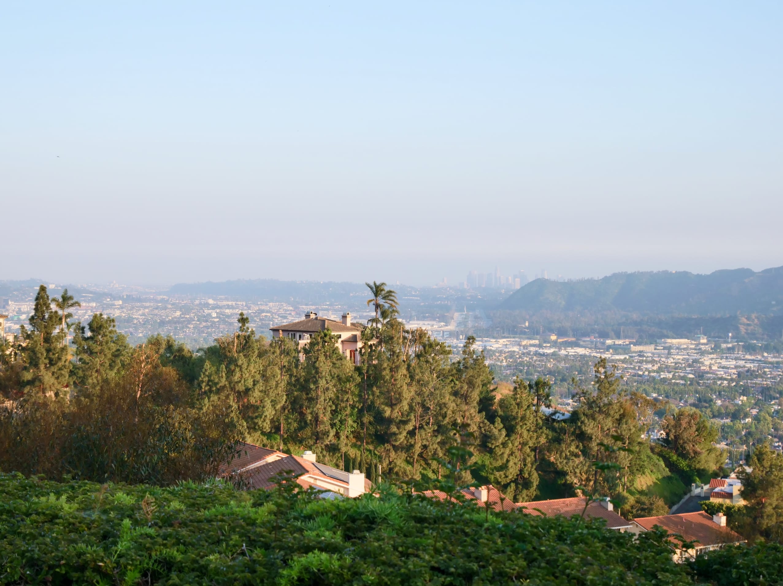 The First Sunday of 2025!