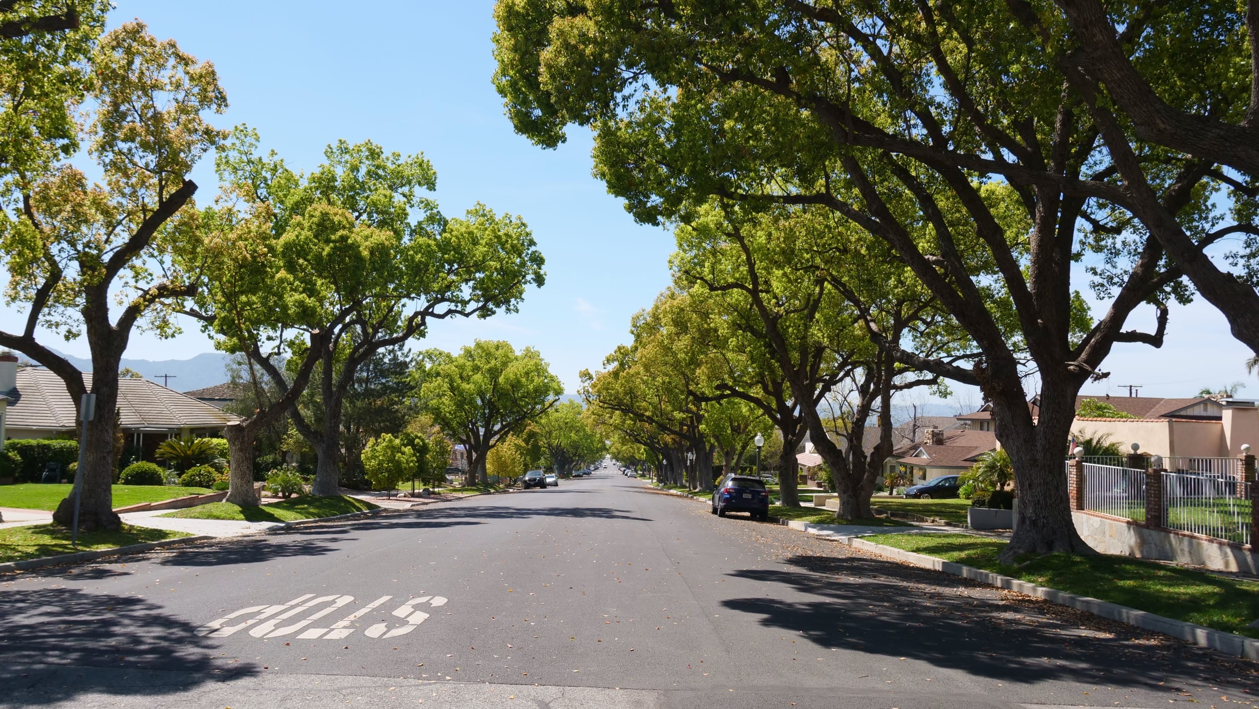 Covenant Church — Morning & Evening Worship: March 23, 2025