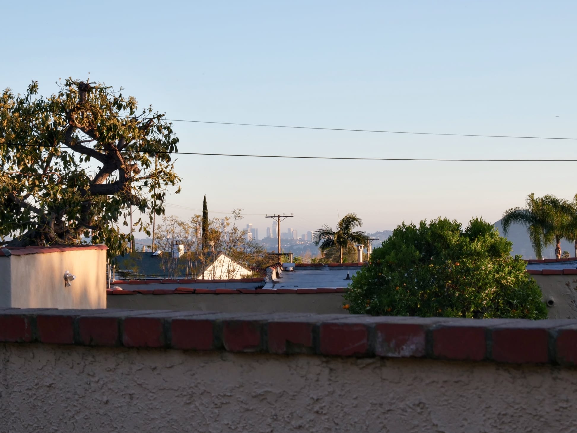 Covenant Church — Morning & Evening Worship: March 30, 2025