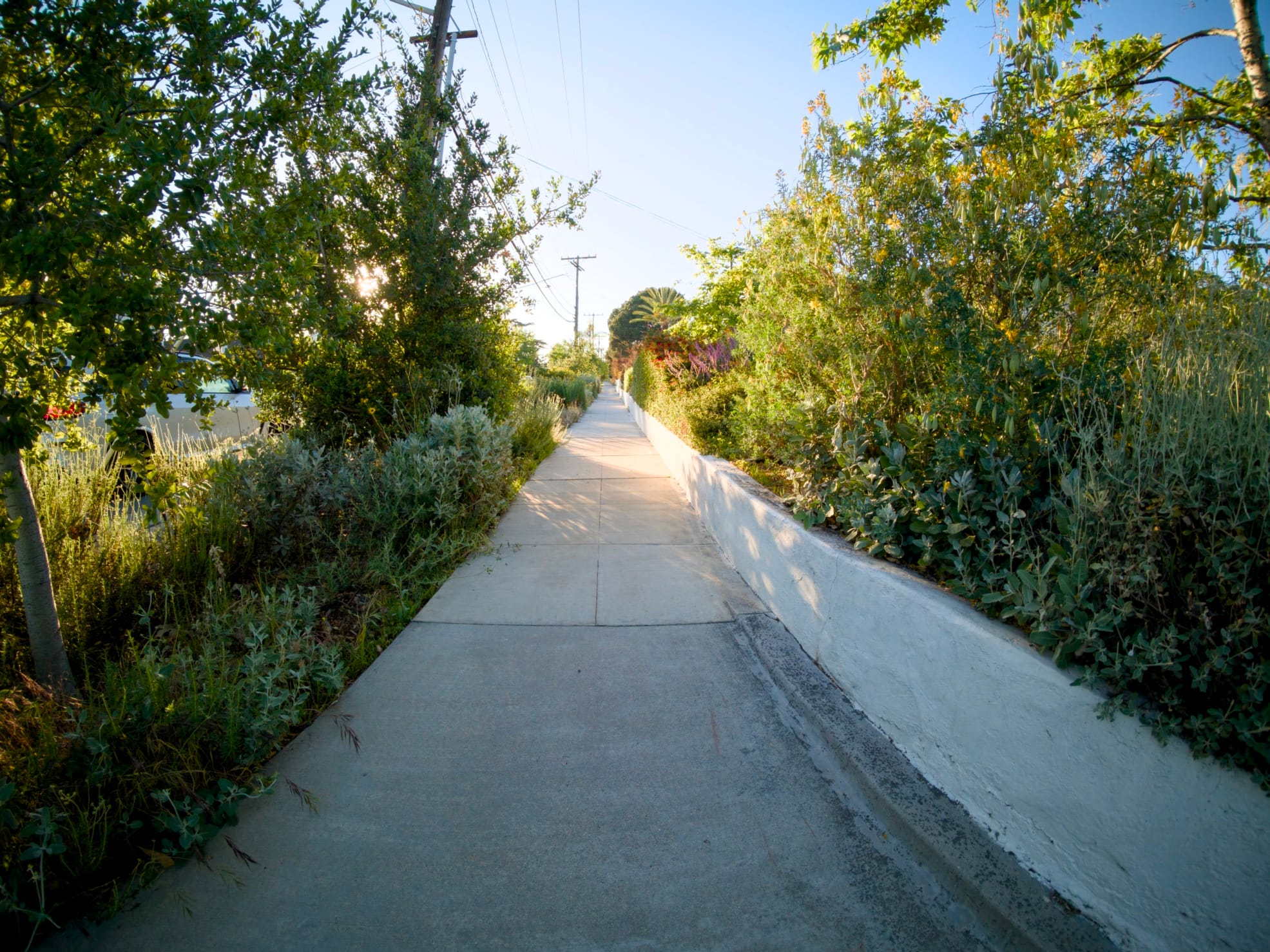 Glorifying God in Worship