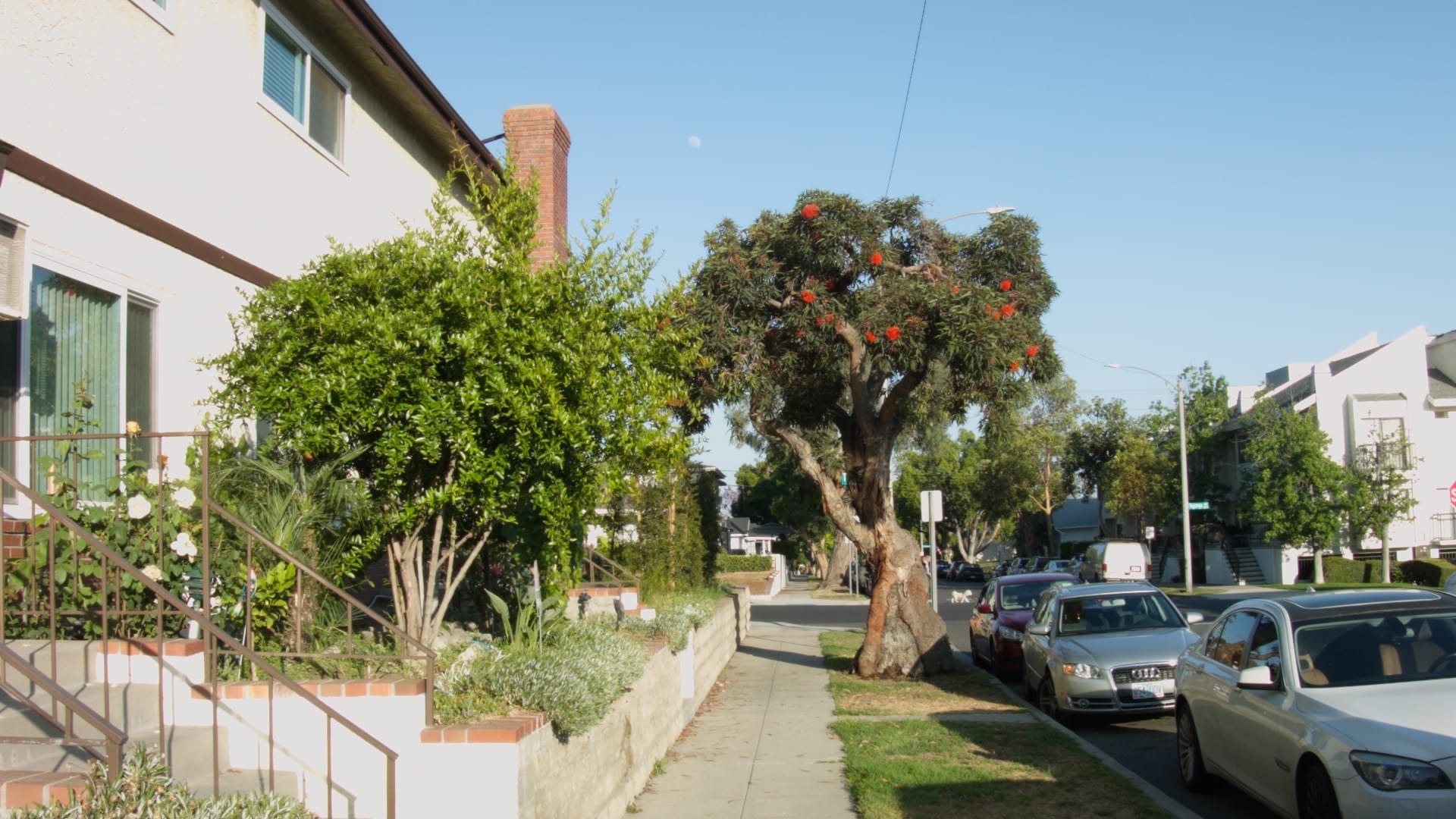 Come and Worship God