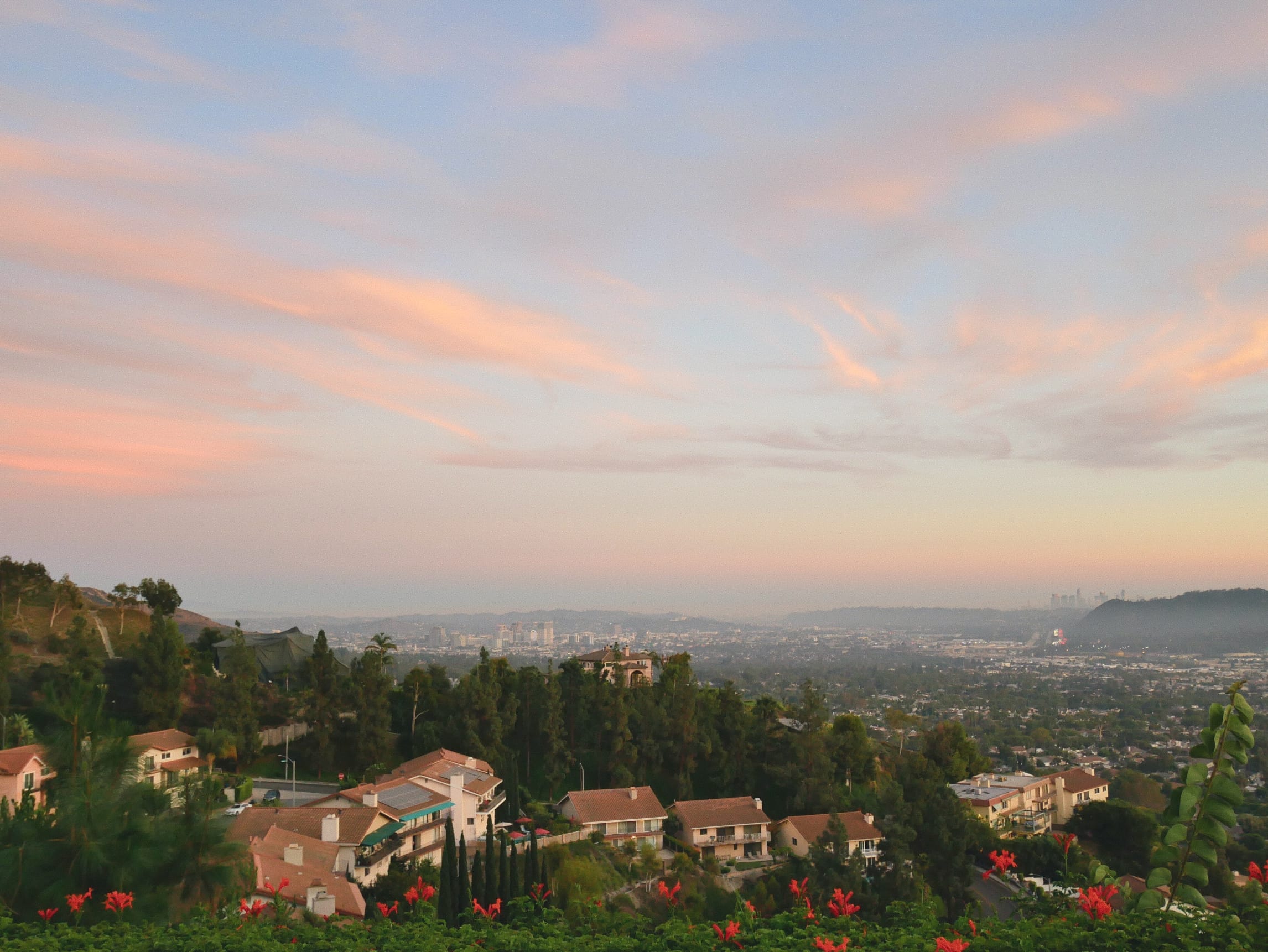 The Best Day of the Whole Week