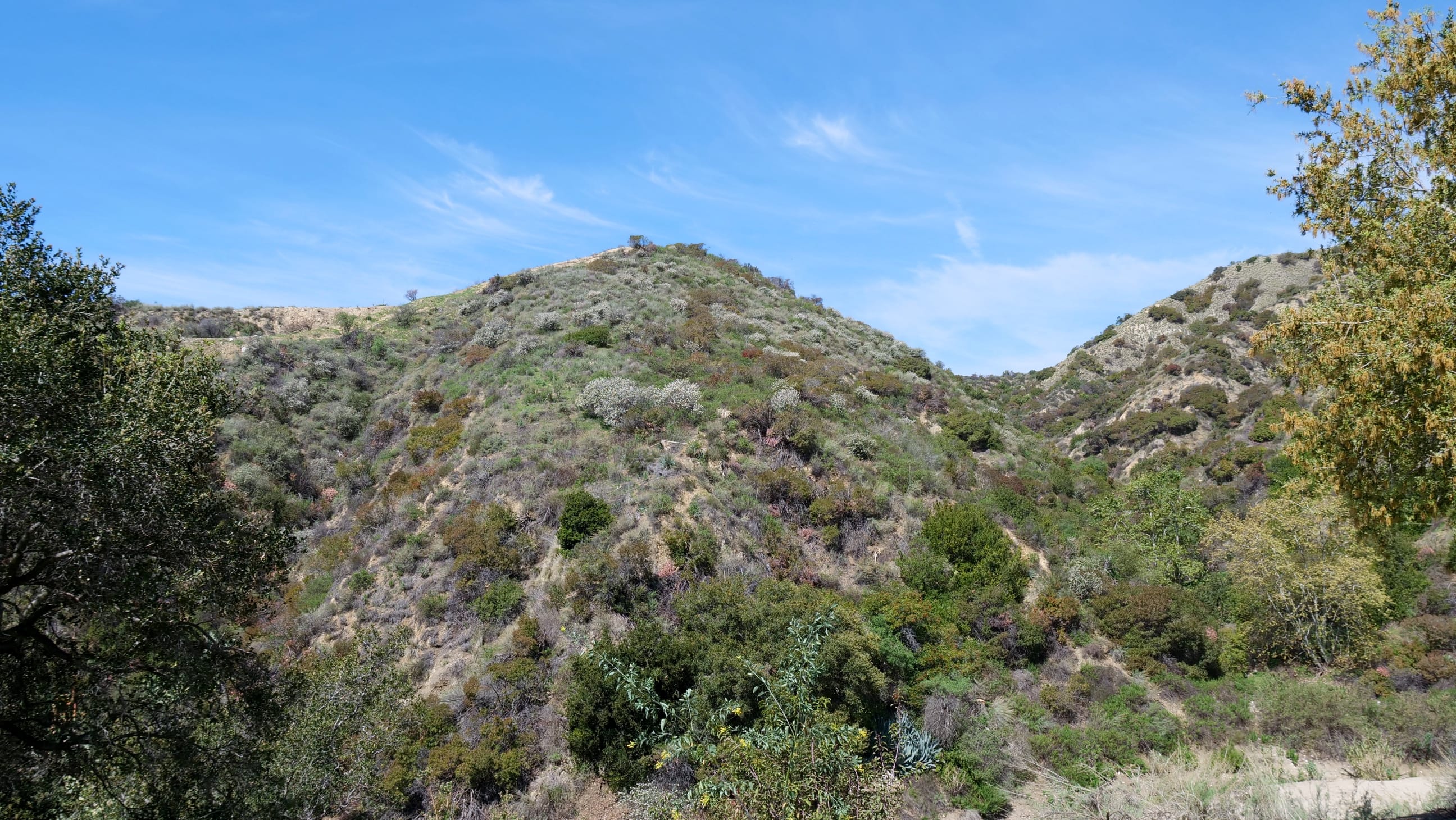 Covenant Church — Morning & Evening Worship: November 2, 2025