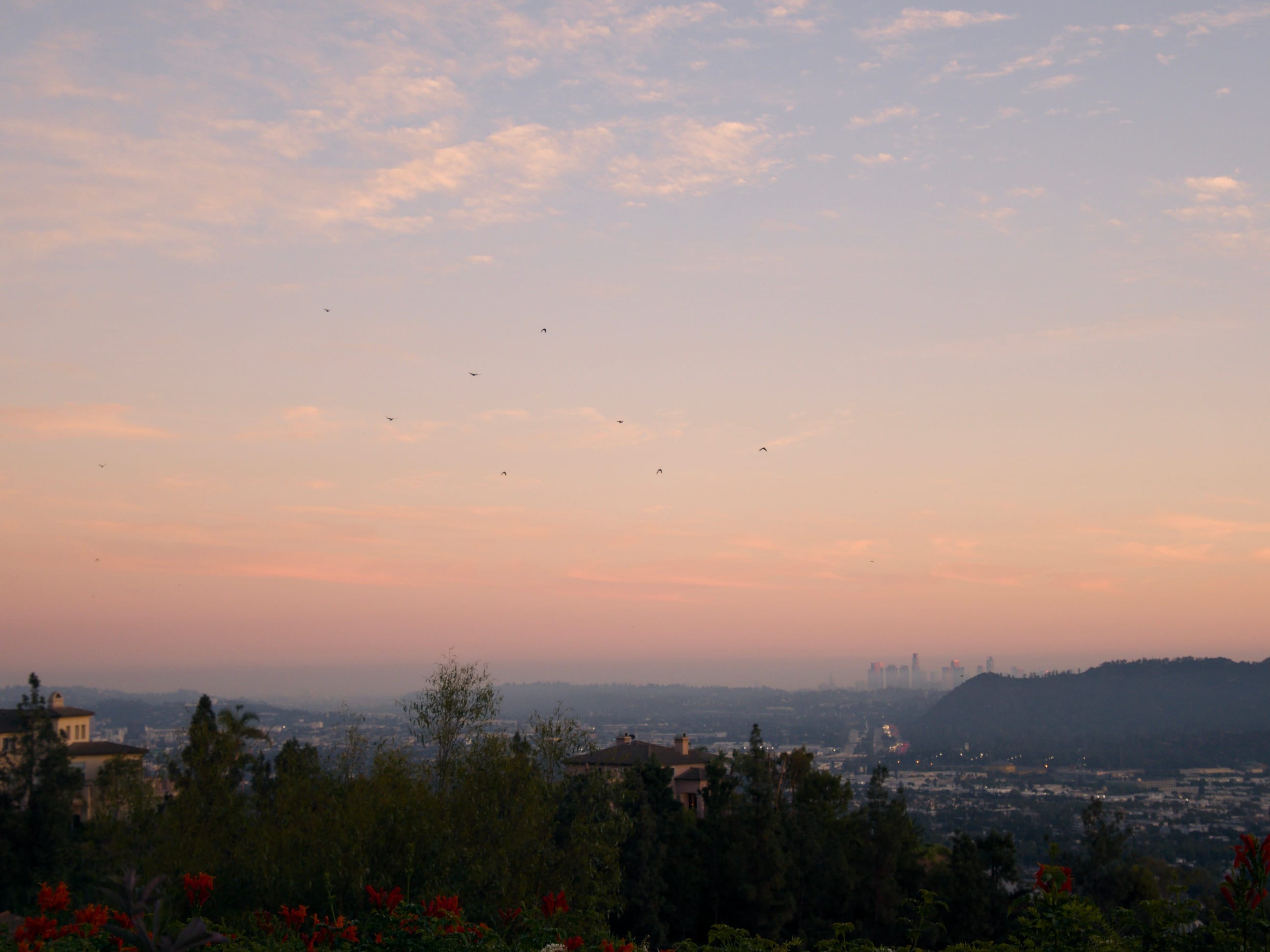 Covenant Church — Morning & Evening Worship: November 23, 2025