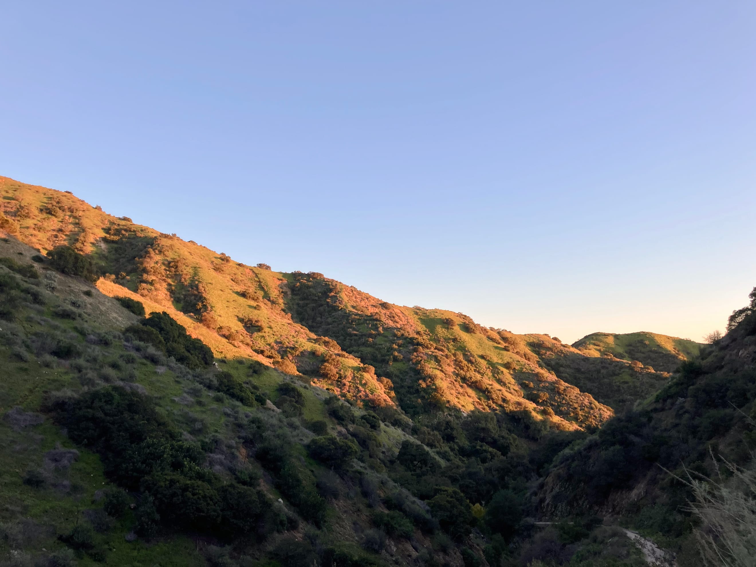 Covenant Church — Morning & Evening Worship: January 11, 2026