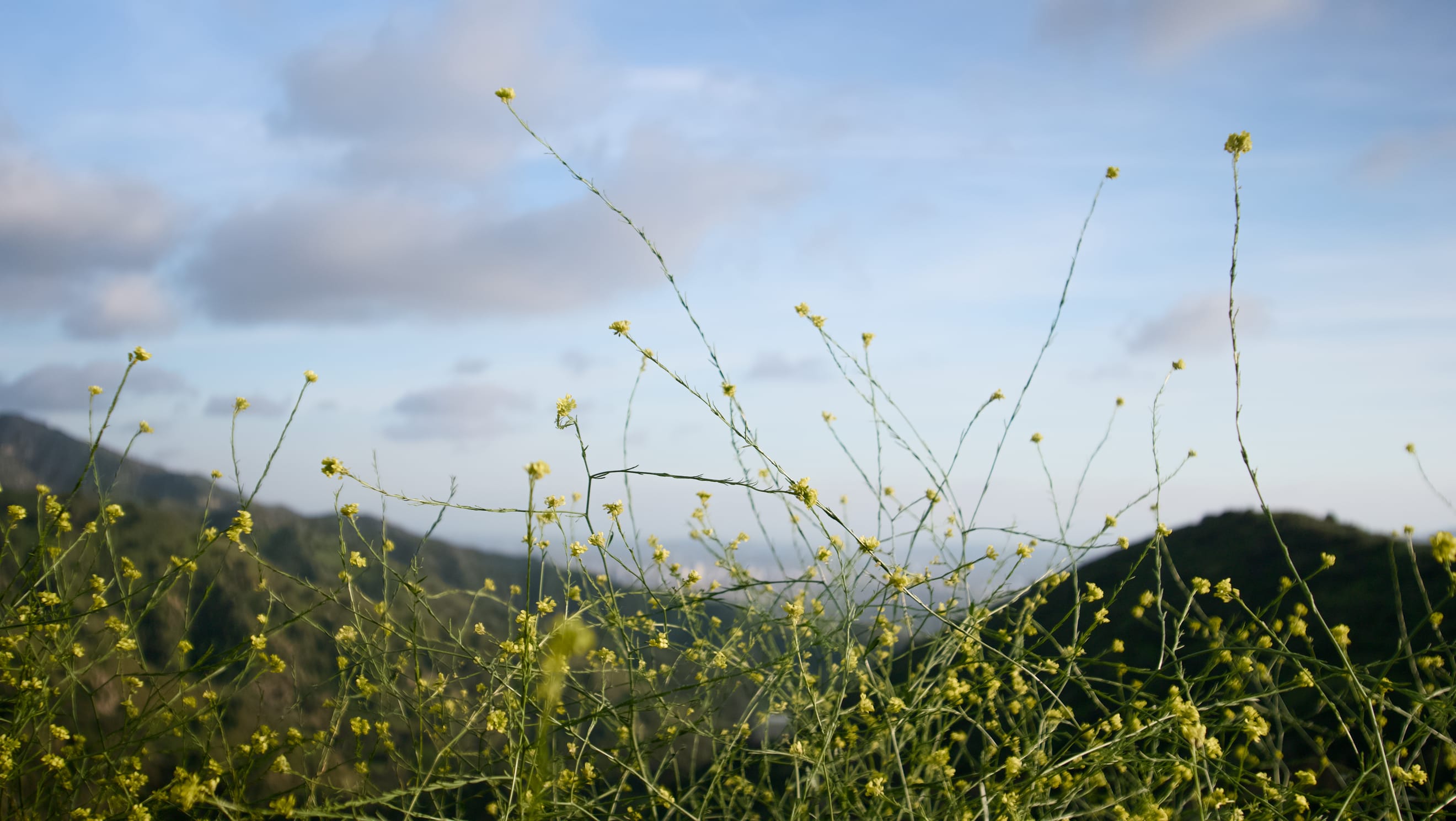 Sunday: The Best Day of the Week