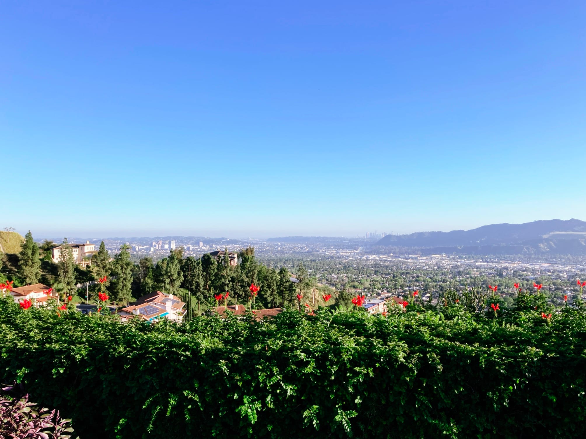 Covenant Church — Morning & Evening Worship: March 15, 2026