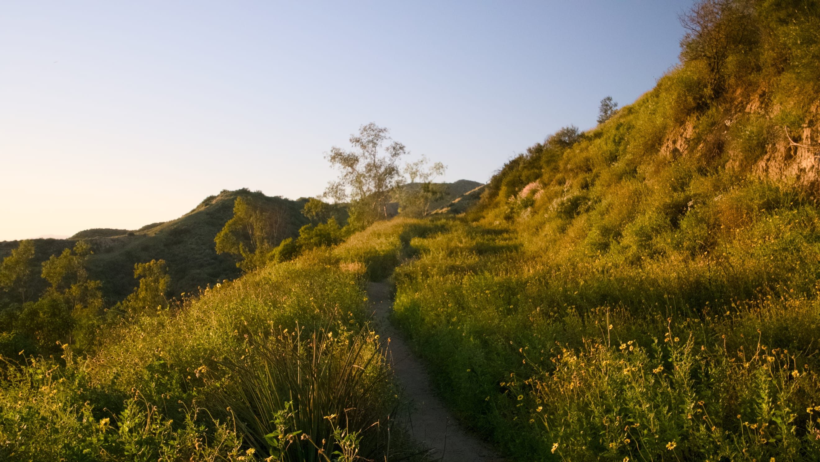 Covenant Church — Morning & Evening Worship: March 22, 2026